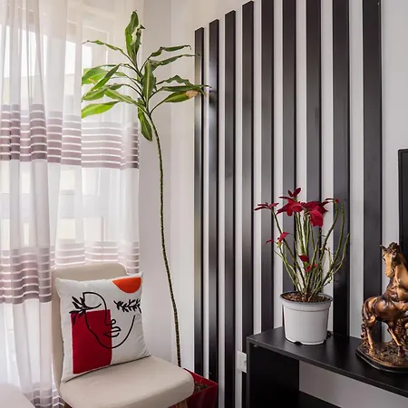 Daire Amber's Cozy Place Tiran